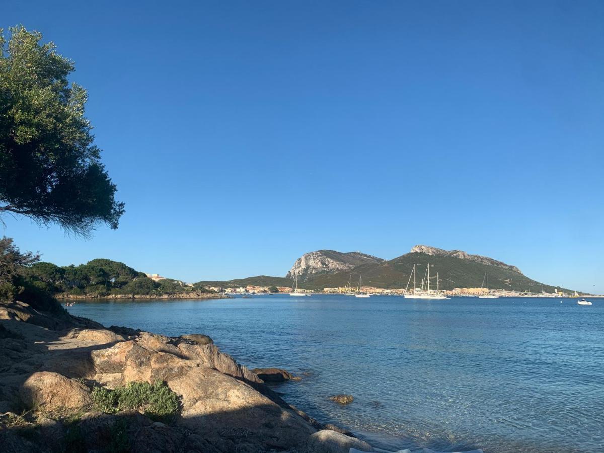 Bona Ciurrata Hotel Golfo Aranci Eksteriør billede